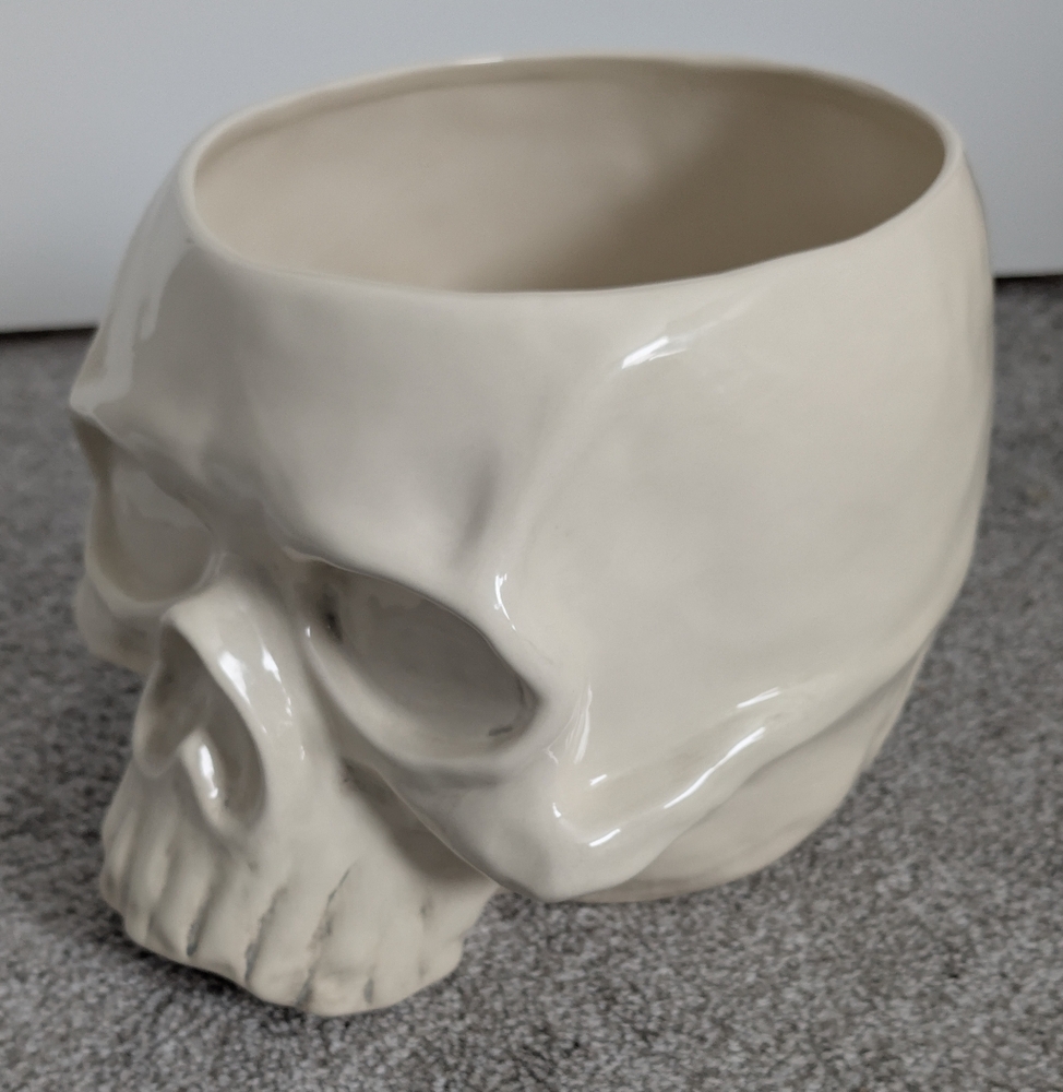 At Home Large Skull Bowl